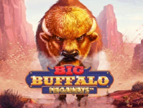 game logo by Skywind Group on spellwins.com.pl