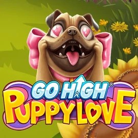 game logo by RubyPlay on spellwins.com.pl